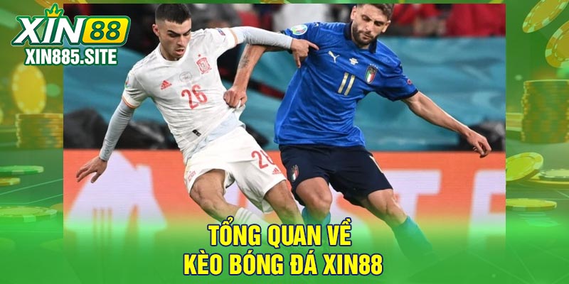 Tổng quan về kèo bóng đá Xin88